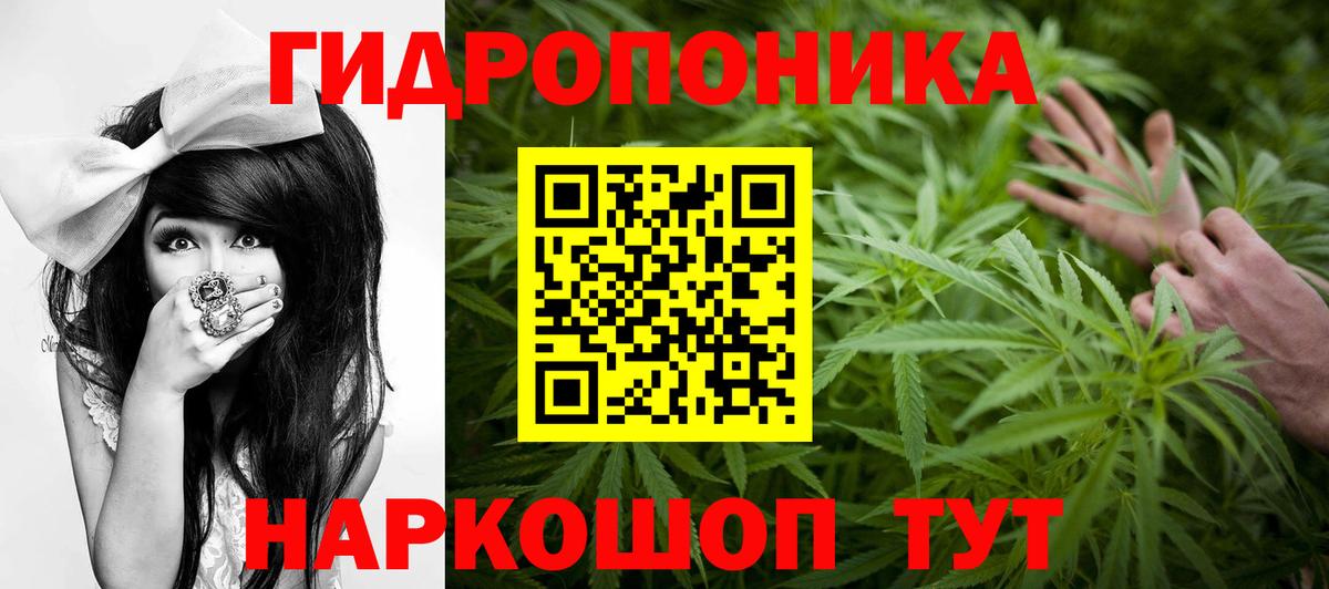 МАРИХУАНА сатива Полевской